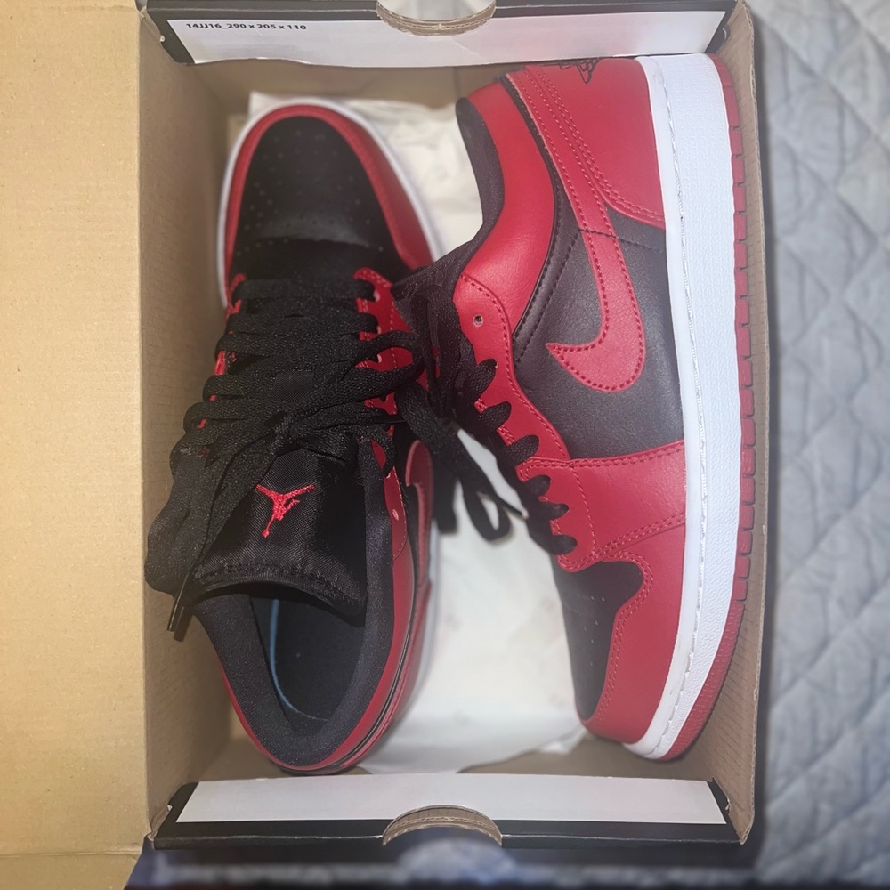 Air Jordan Dunks
